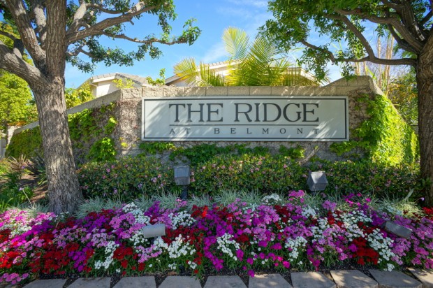 The Ridge